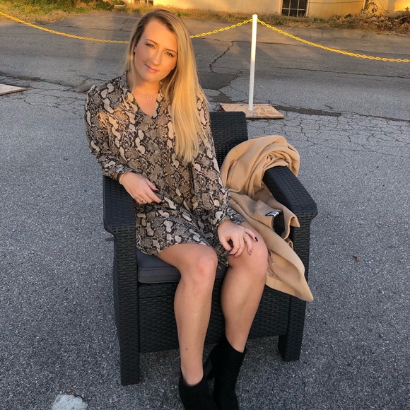 Meet your Posher, Riley - Picture 1 of 1